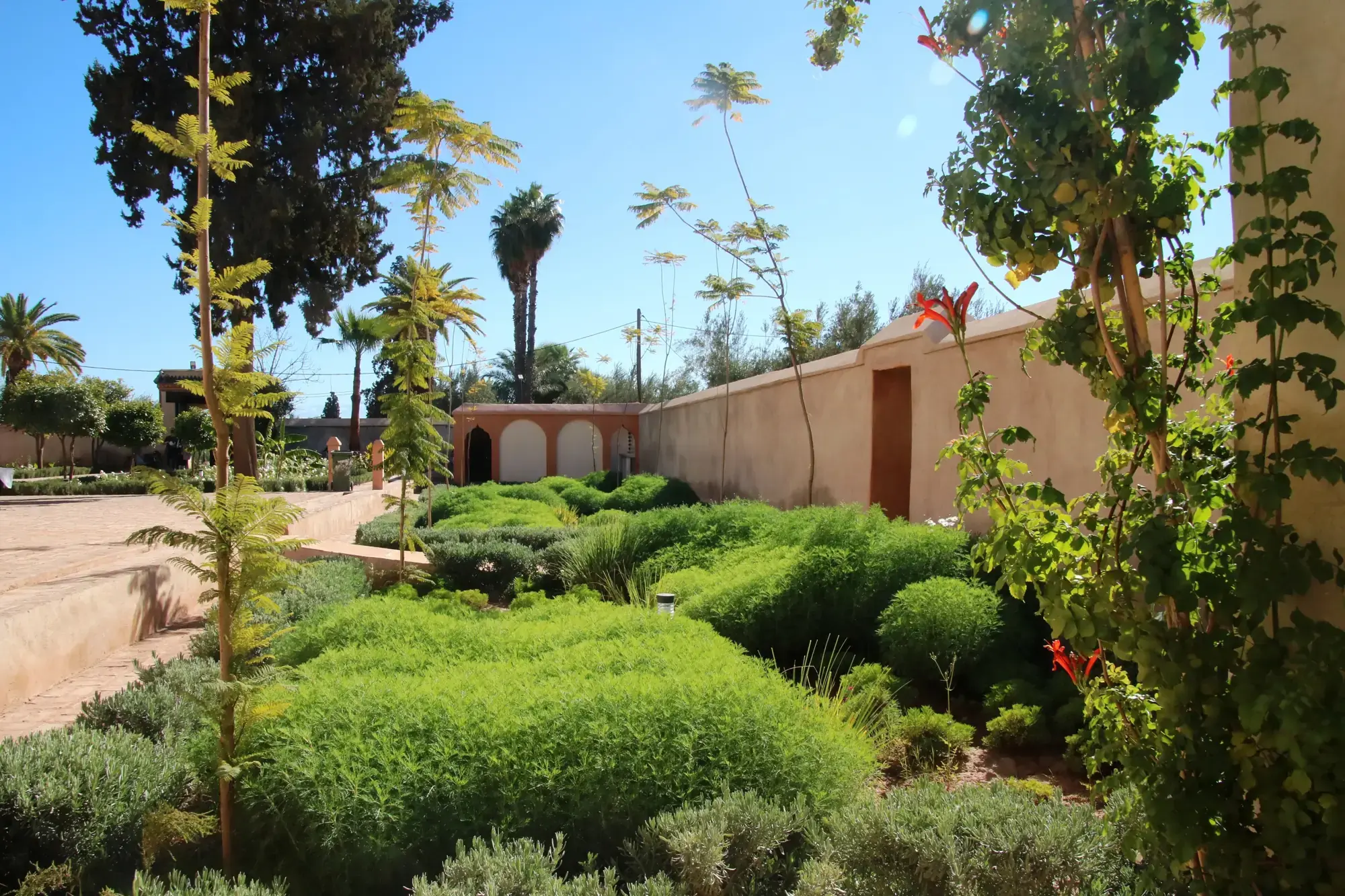 Garden with pink walls, cypresses and palms near the Menara